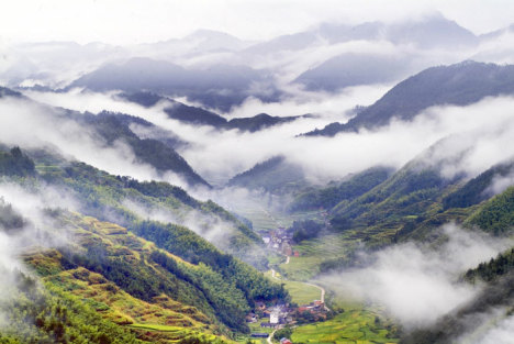 官方揭秘：小伙菜地偶然发现汉代指纹砖，文化瑰宝重现世间